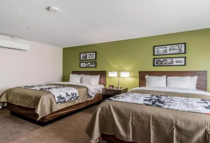 ホテル Sleep Inn & Suites College Station Near University