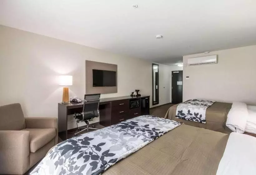 ホテル Sleep Inn & Suites College Station Near University