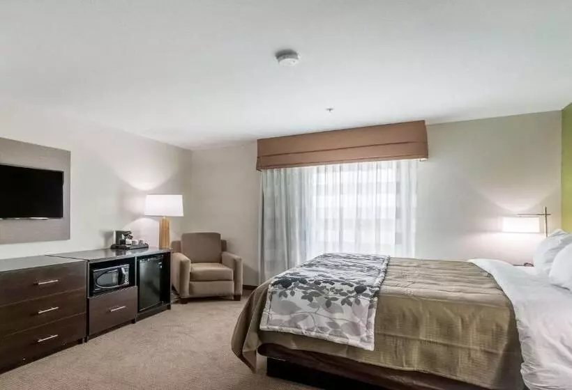 ホテル Sleep Inn & Suites College Station Near University