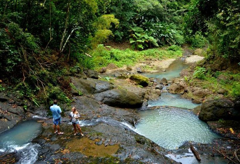 پانسیون Nature S Paradise At Marigot Bay