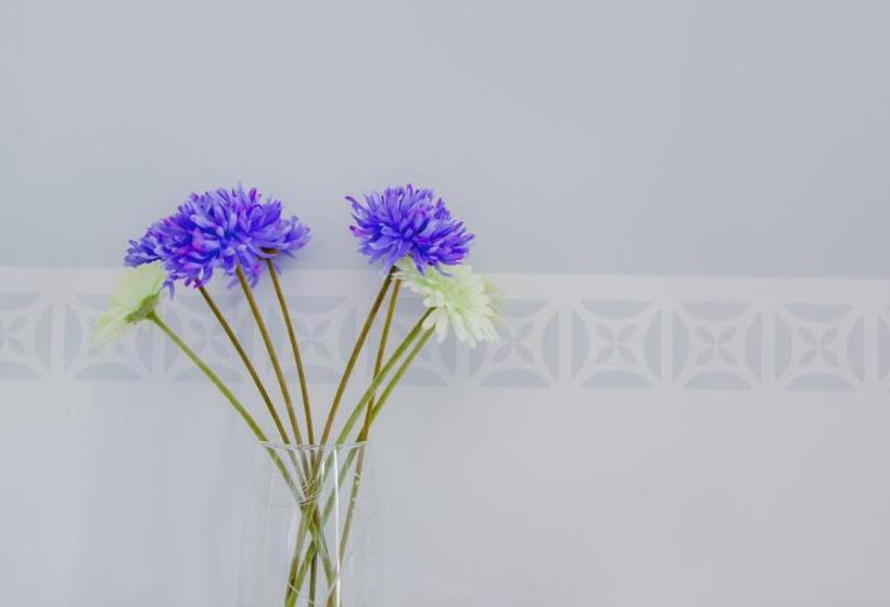 בית מלון כפרי Novomar