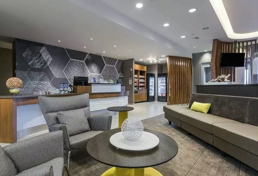 ホテル Springhill Suites By Marriott Gallup