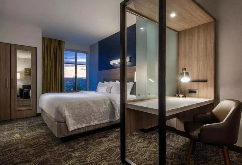 ホテル Springhill Suites By Marriott Gallup
