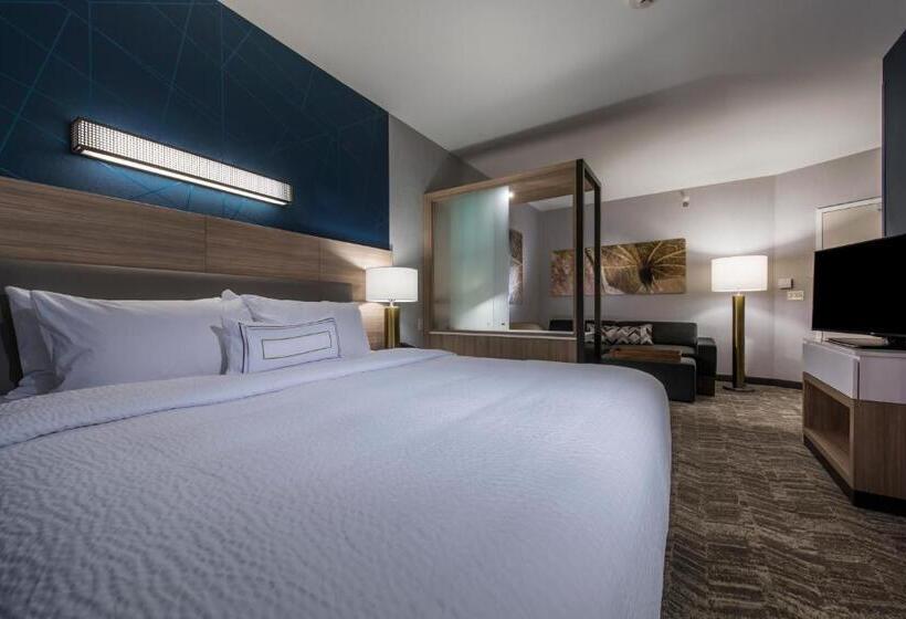 فندق Springhill Suites By Marriott Gallup