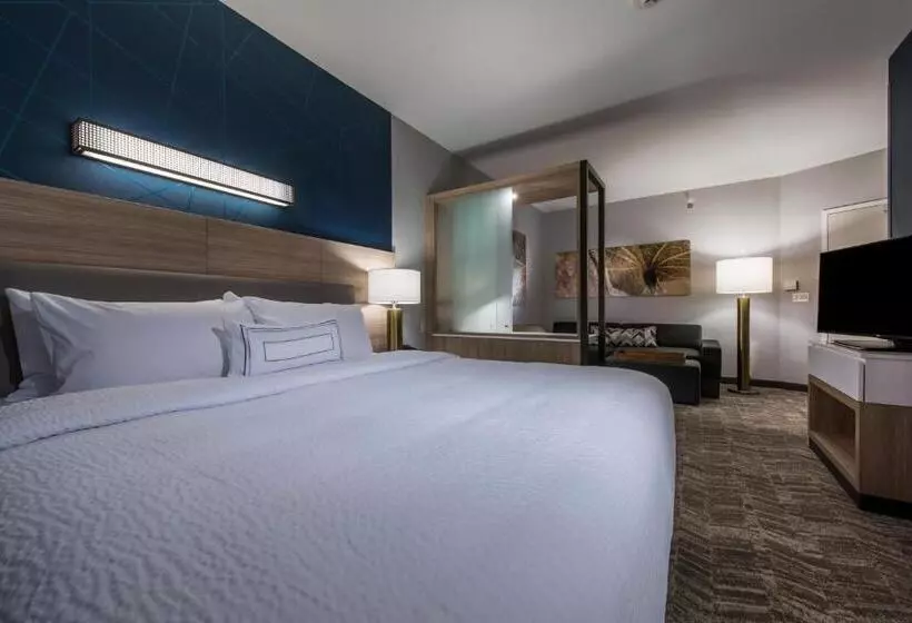 ホテル Springhill Suites By Marriott Gallup