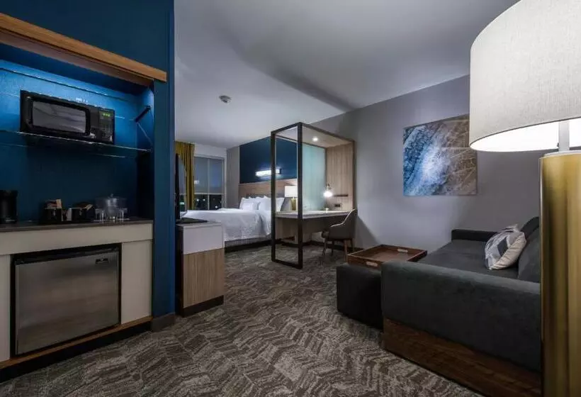 ホテル Springhill Suites By Marriott Gallup