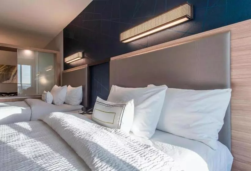 ホテル Springhill Suites By Marriott Gallup