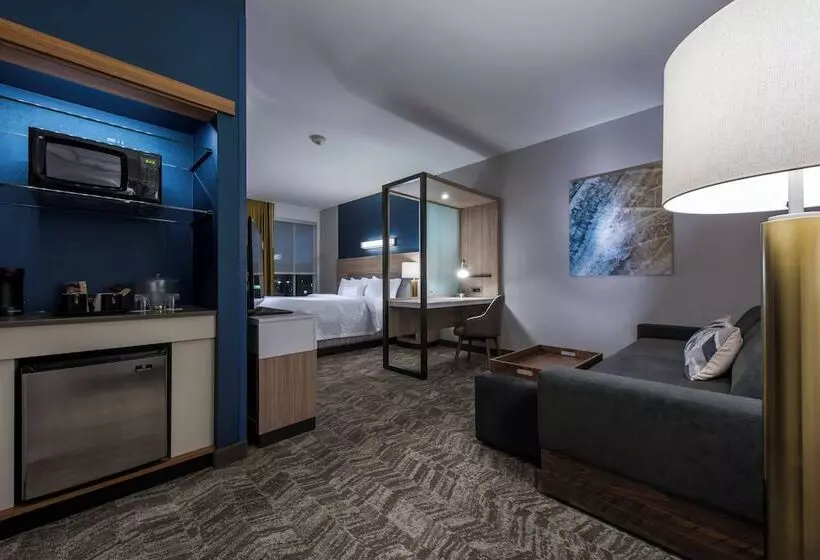 ホテル Springhill Suites By Marriott Gallup