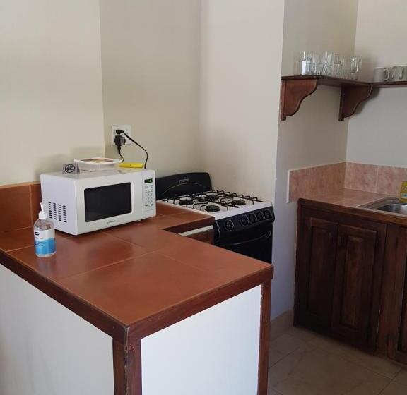 فندق Wild Orchid