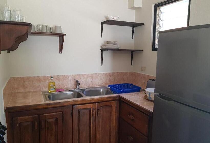 فندق Wild Orchid