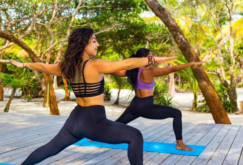 فندق Wild Orchid