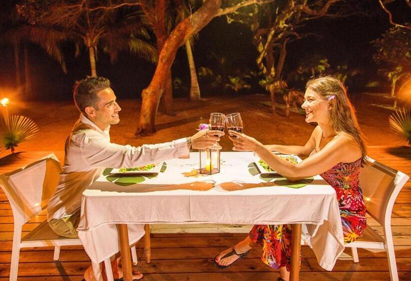 فندق Wild Orchid