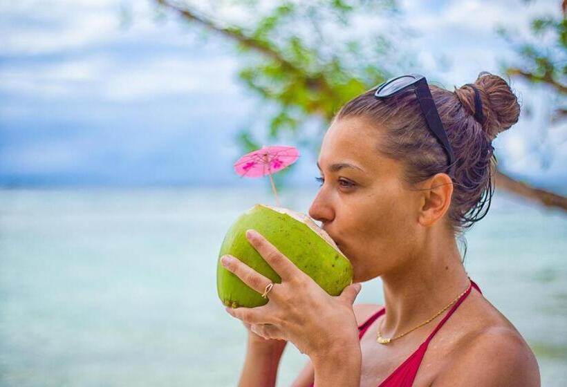 فندق Wild Orchid