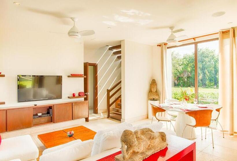 فندق Wild Orchid