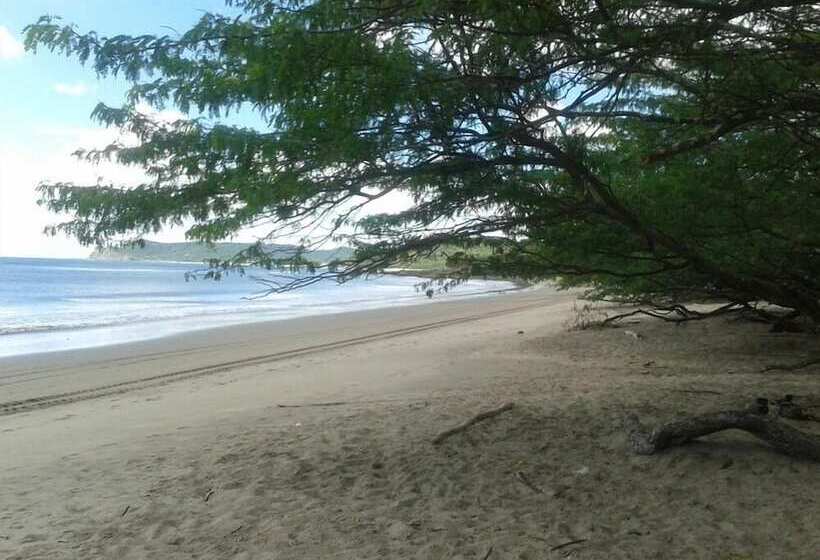 Machele  S Place Beachside Hotel & Pool