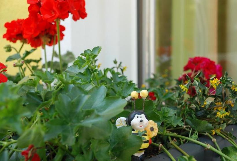 ベッドアンドブレックファースト Pension Agnes