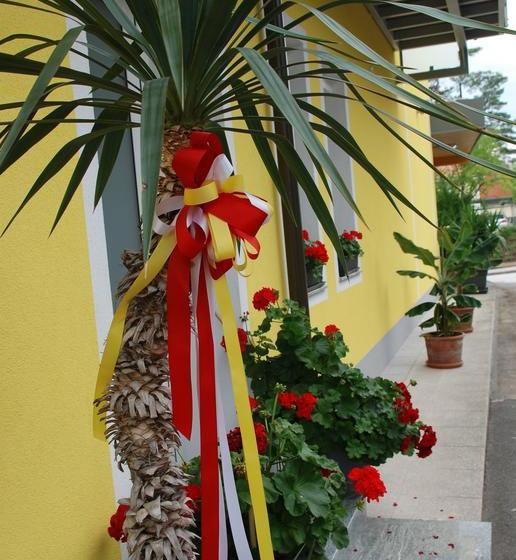 ベッドアンドブレックファースト Pension Agnes