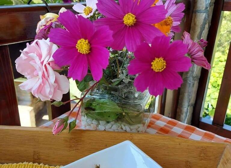 تختخواب و صبحانه Rooms And Apartmants Mirovic