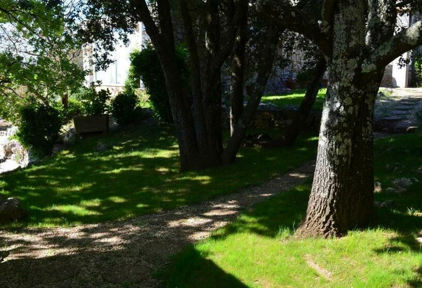 住宿加早餐 Sous Les Chênes