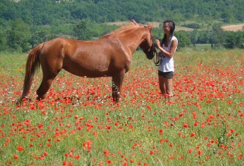 住宿加早餐 Sous Les Chênes