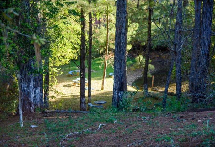 هتل Cabana Do Rei