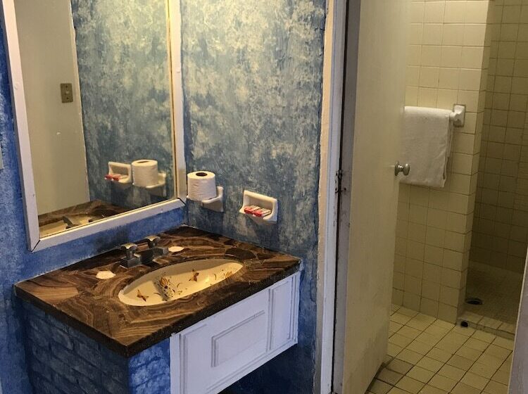 Delfines Acapulco By Ng Hoteles