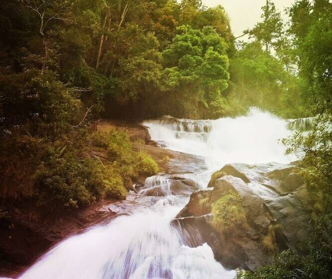 הוסטל Oca Delfim