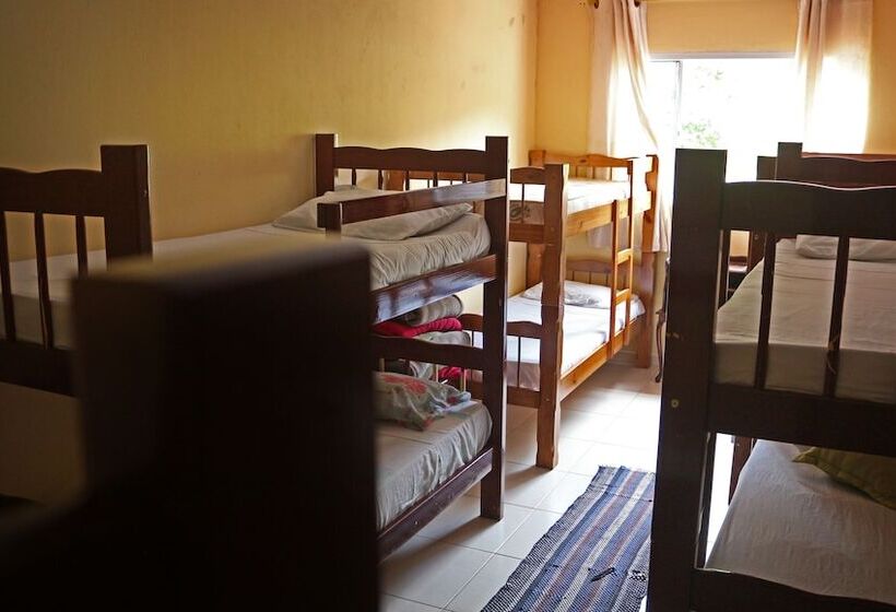 הוסטל Oca Delfim