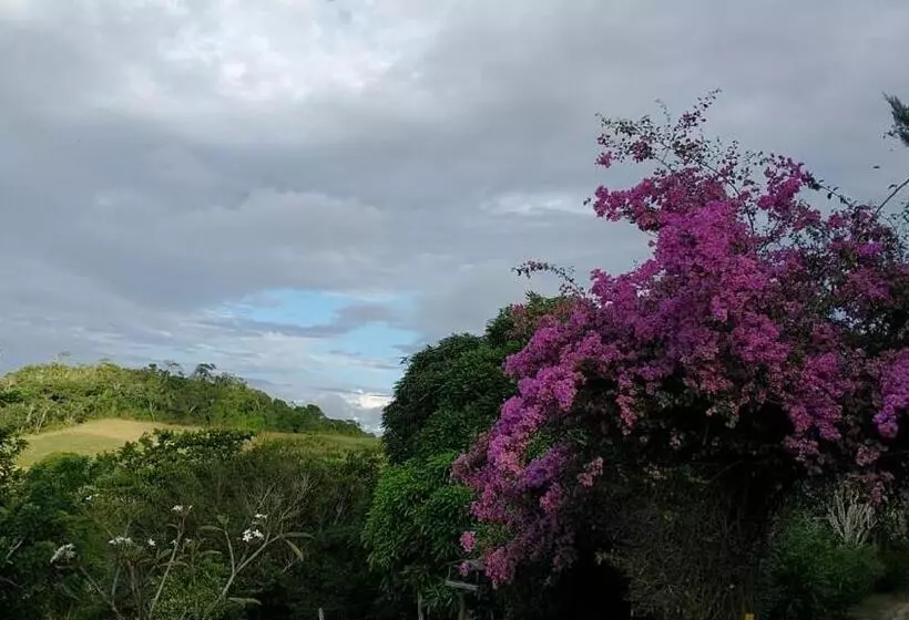 ホテル Fazenda Colibri