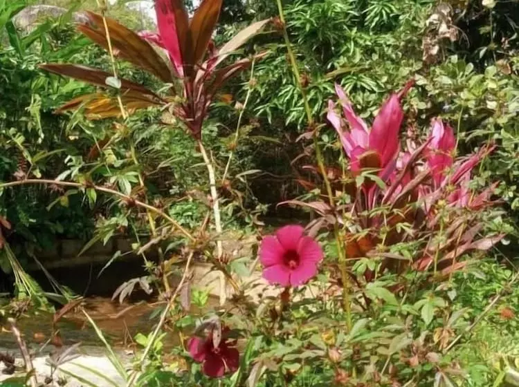 Hotelli Pousada Aba Da Serra