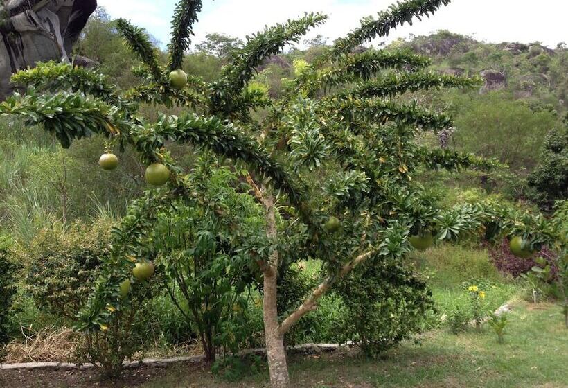 酒店 Pousada Aba Da Serra