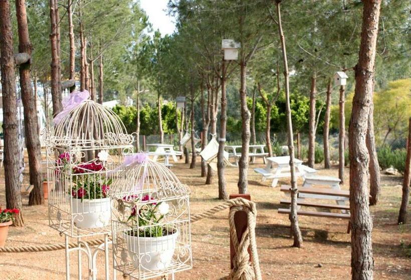 Olbios Marina Resort