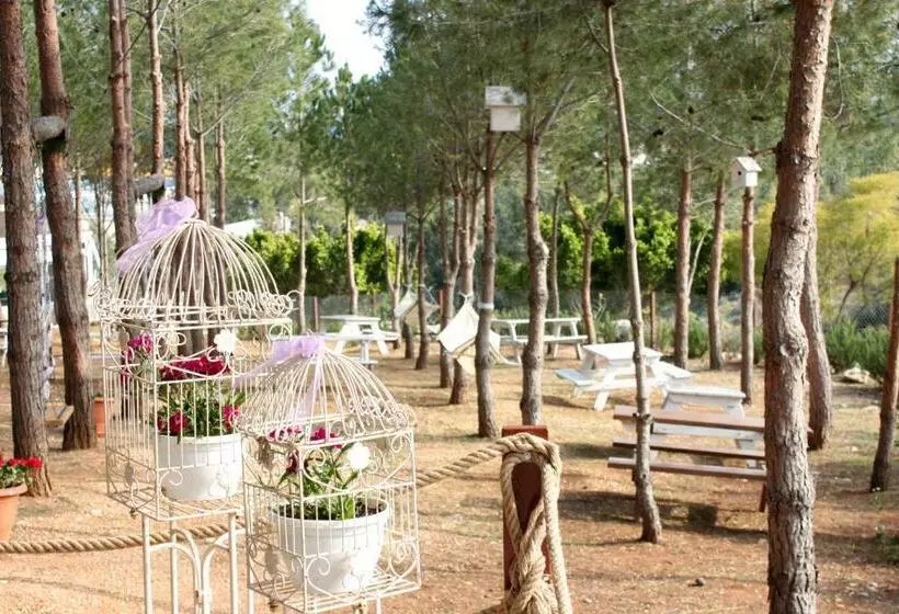 Olbios Marina Resort