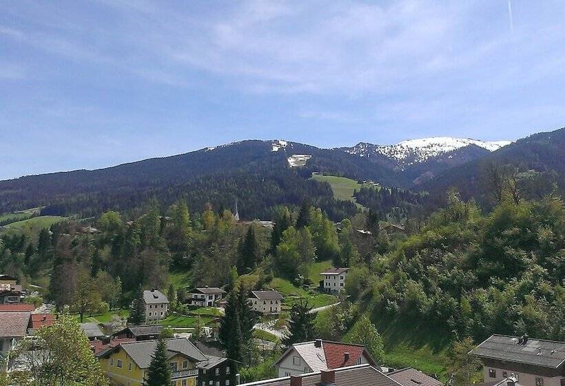 ホテル Appartement Schattauer