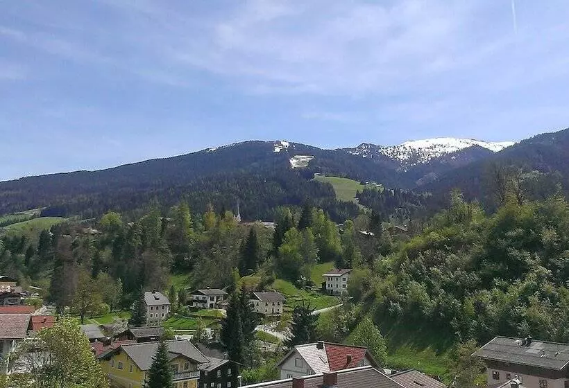 ホテル Appartement Schattauer