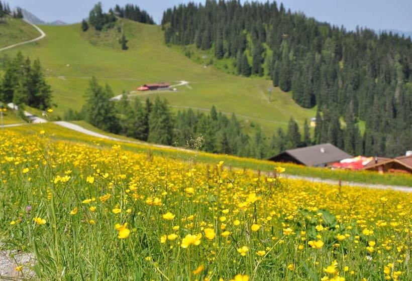 ホテル Appartement Schattauer