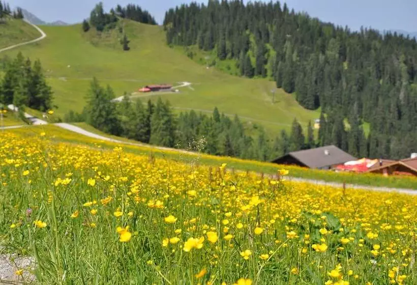 ホテル Appartement Schattauer