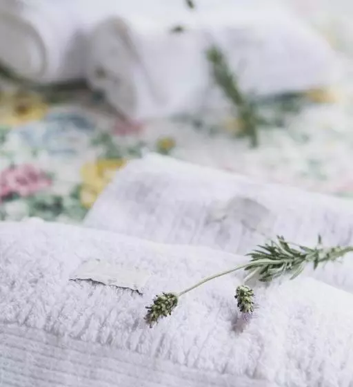 B & B Gourmet Itaipava