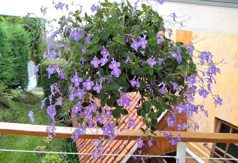 Szálloda Alpenhaus Pousada