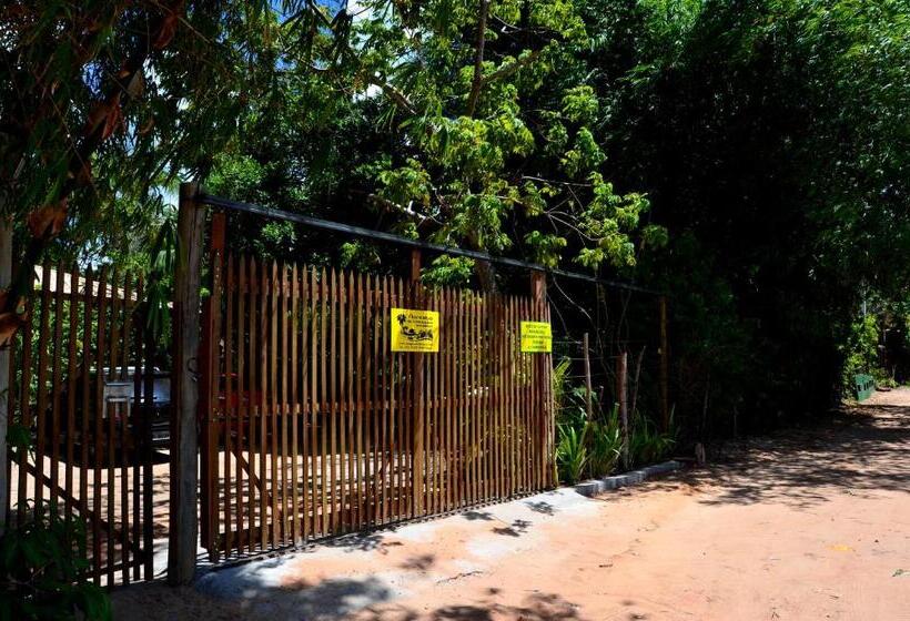 בית מלון כפרי Floresta Bungalows