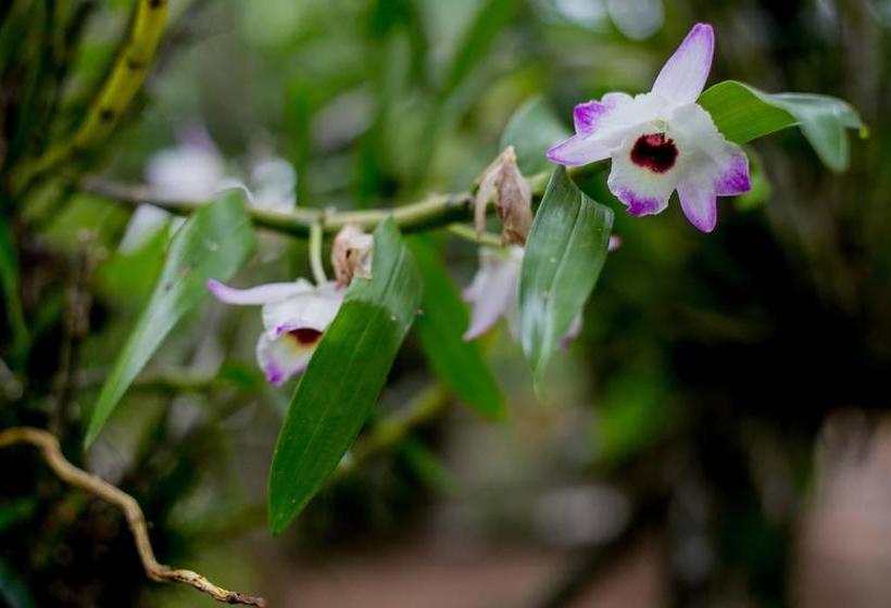 هتل Na Mata Suites