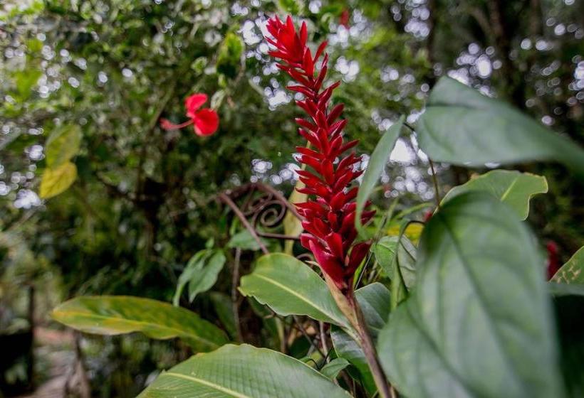 هتل Na Mata Suites