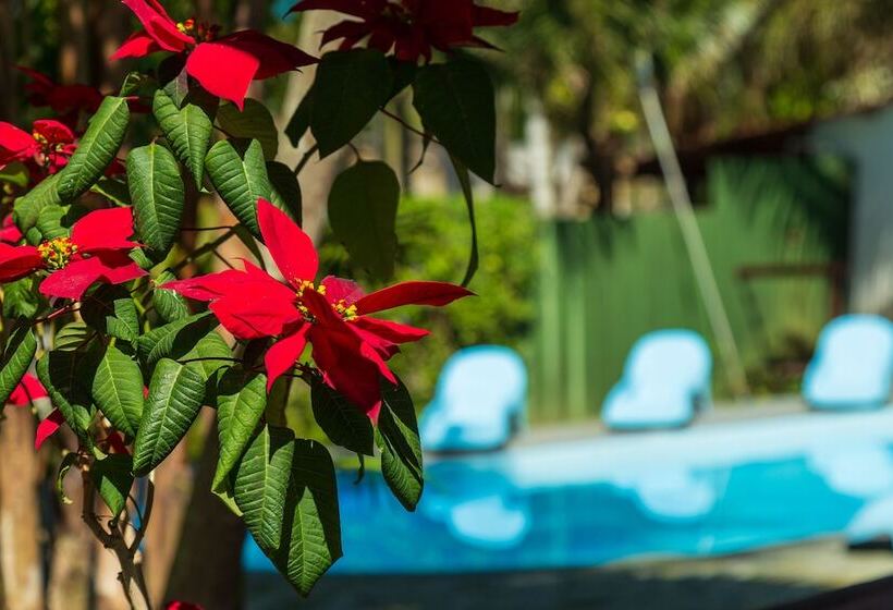 Otel Pousada Rio Paraty