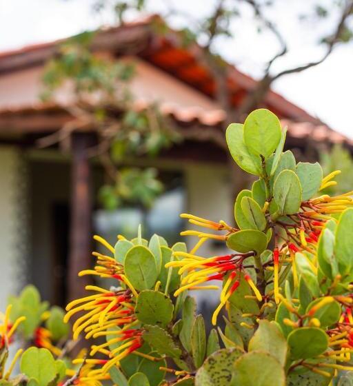 هاستل Catavento Pousada