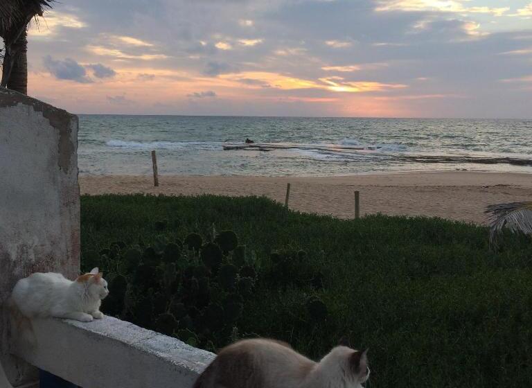 Alfazema Cultural Bed And Breakfast