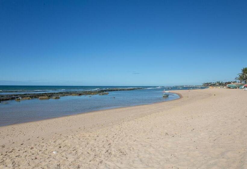 Alfazema Cultural Bed And Breakfast