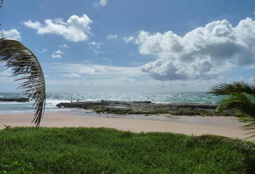 Alfazema Cultural Bed And Breakfast