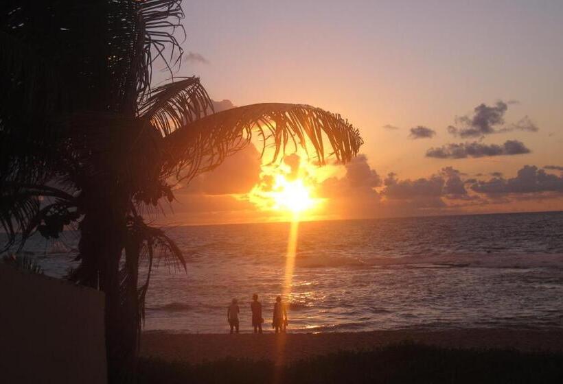 Alfazema Cultural Bed And Breakfast