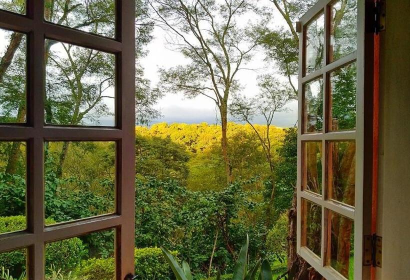 مبيت وإفطار Champagny Pousada