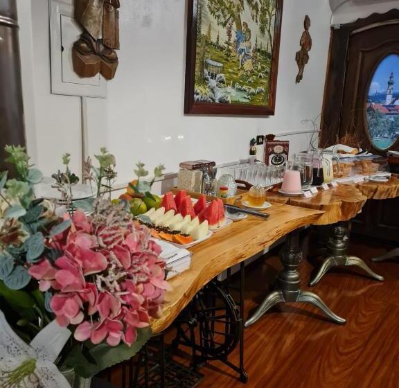 Отель Schneider